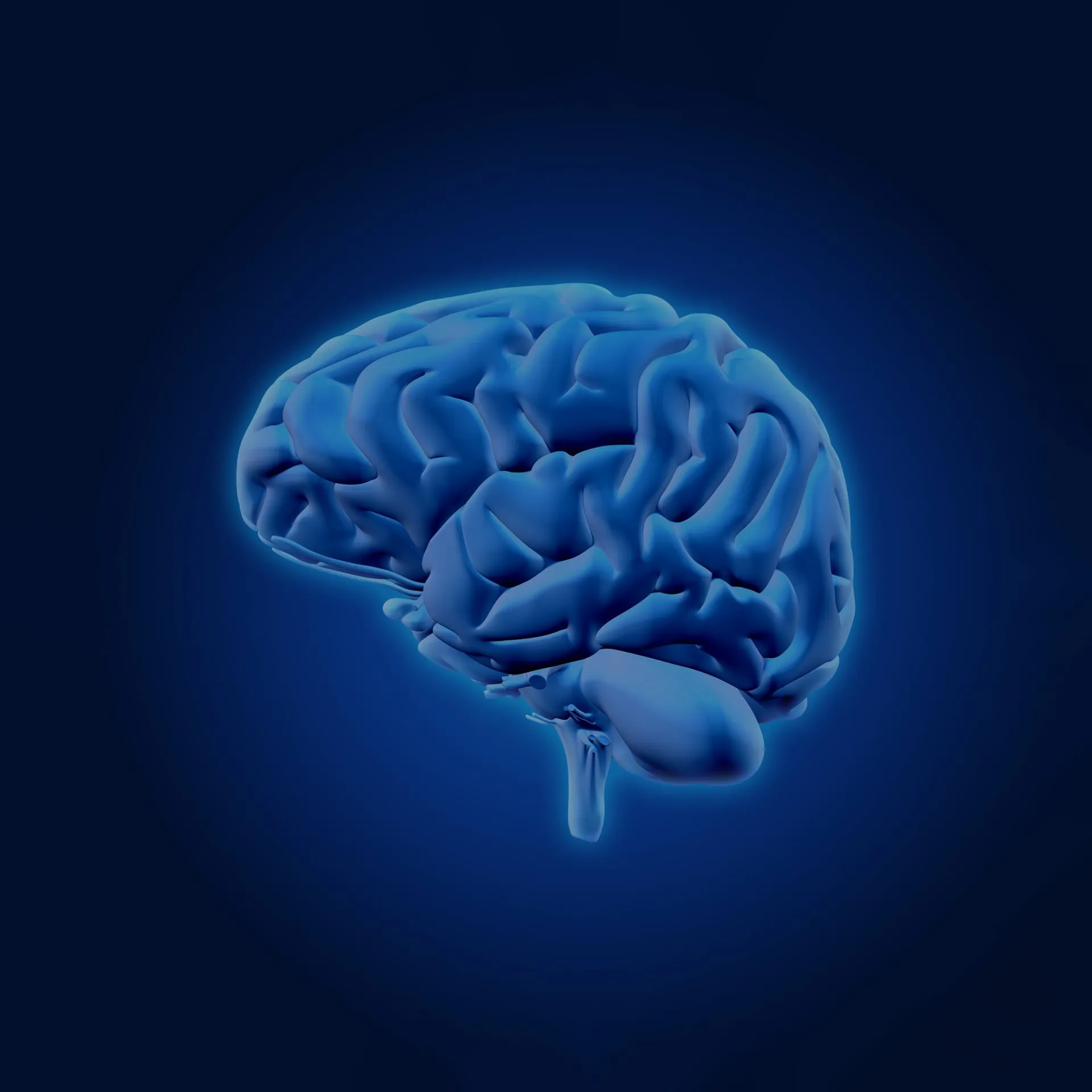 cover image of human brain