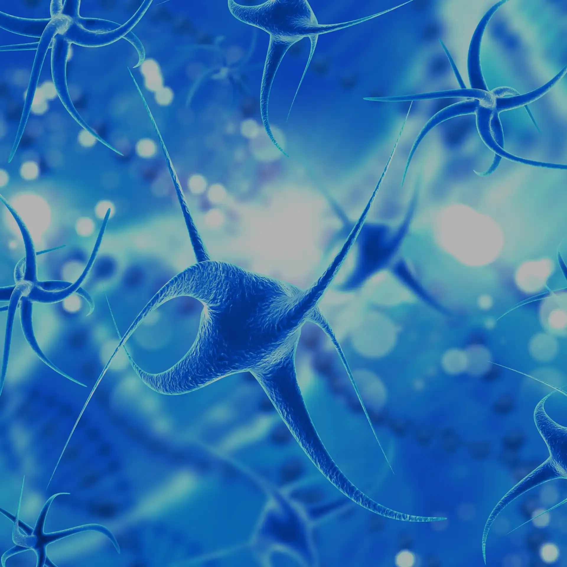 cover image of human brain