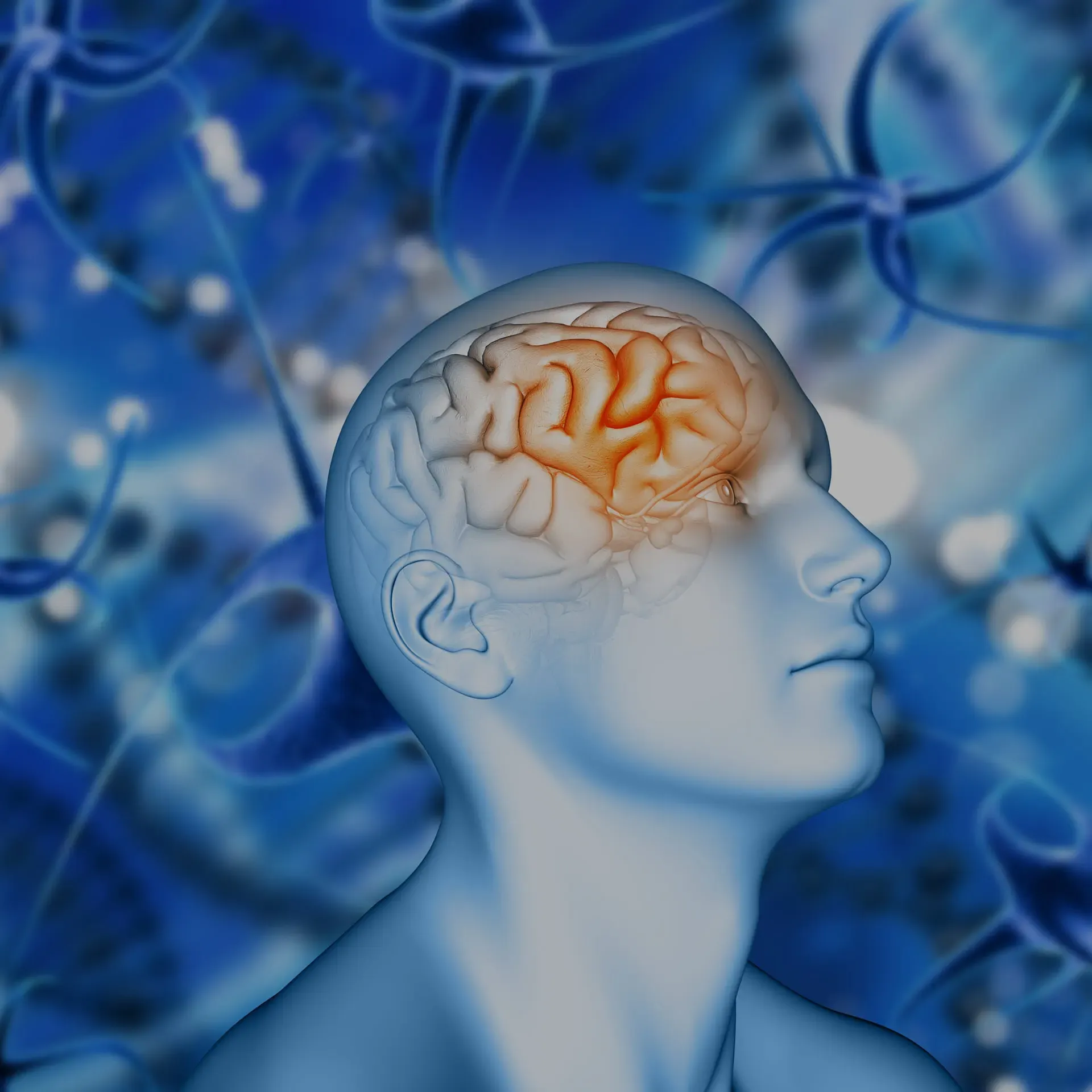 cover image of human brain